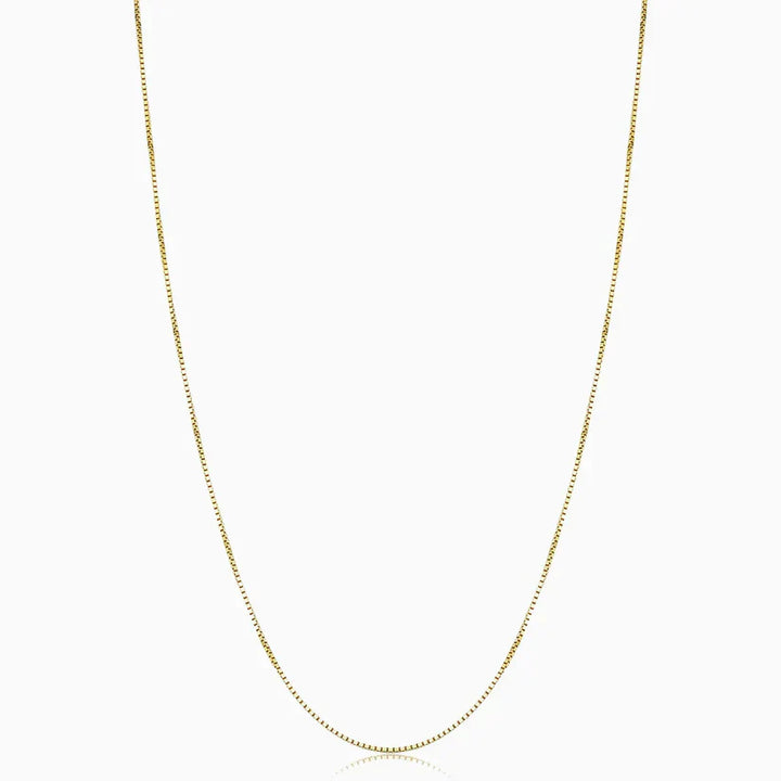 Collar Bodega Storage Box